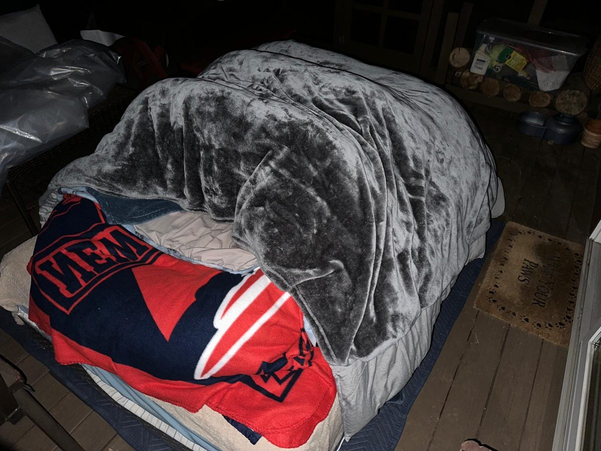 A cot on an open porch, its bedding covered in frost.