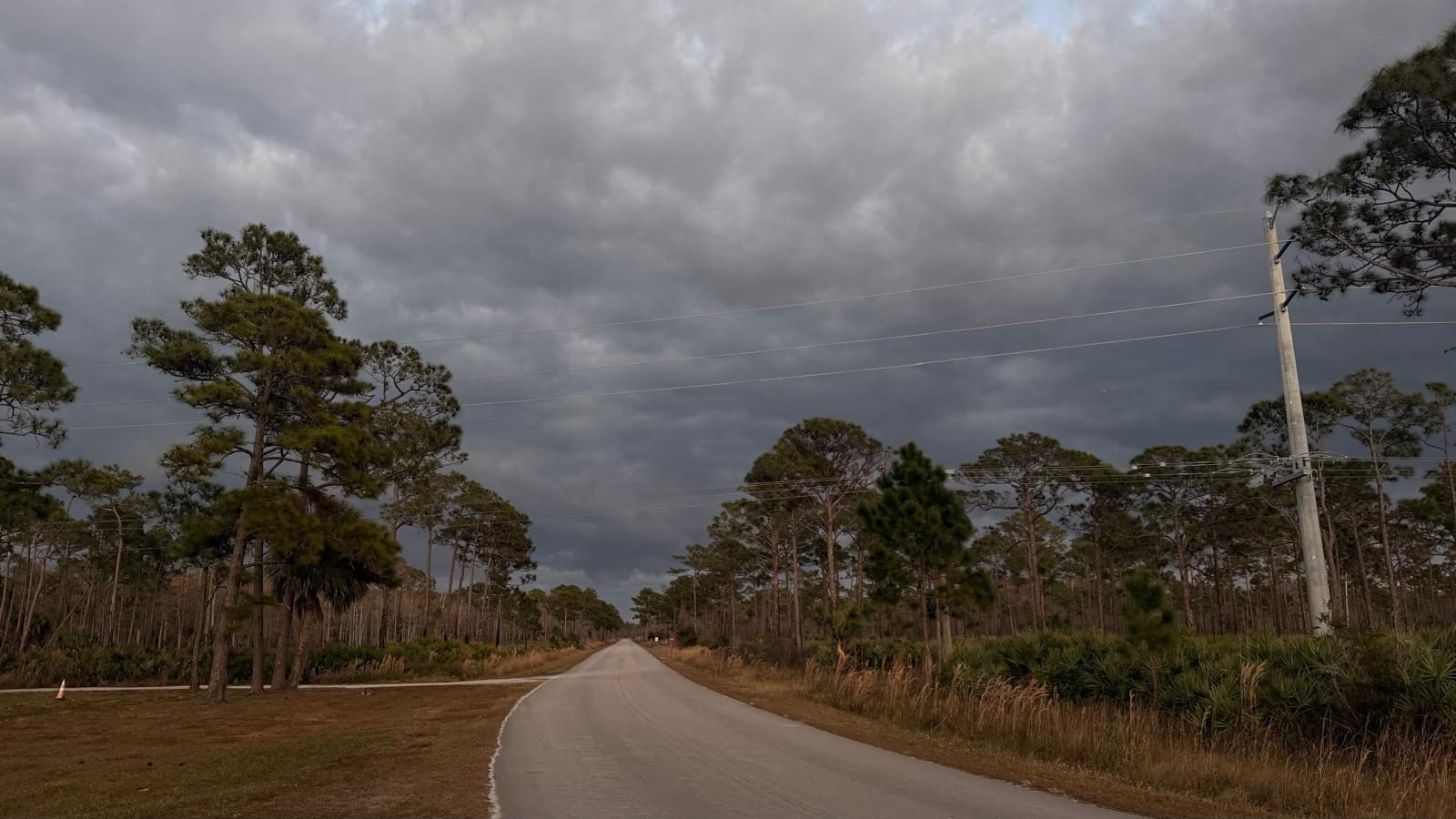 An empty road running between pine woods under a heavy grey sky in a Florida state park.