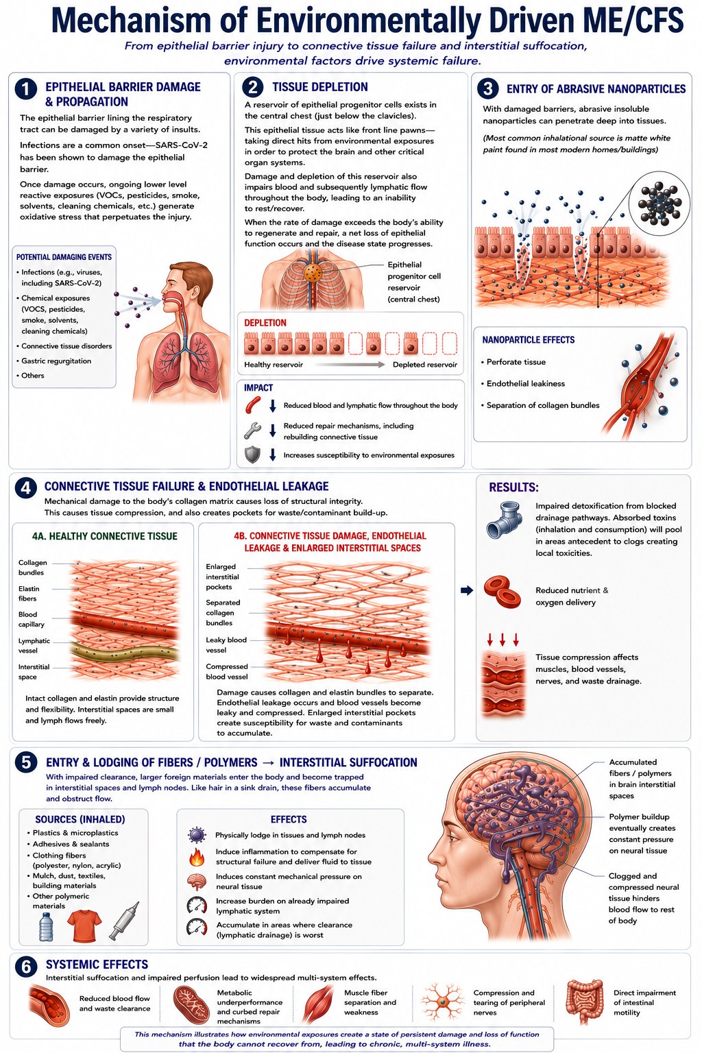 A six-panel medical infographic showing the progression from epithelial barrier damage through tissue depletion, nanoparticle entry, connective tissue failure, interstitial suffocation, and systemic effects.