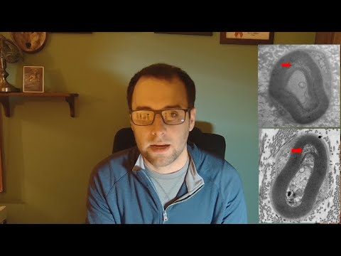 Scott Daniska presenting to camera, with two electron micrograph figures inset showing tissue abnormalities.